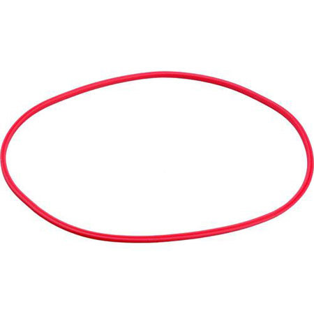 Olympus POL-E05B O-Ring B for PT-E05 Housing