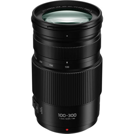 Panasonic LUMIX G Vario 100-300mm f/4.0-5.6 II Lens for MFT