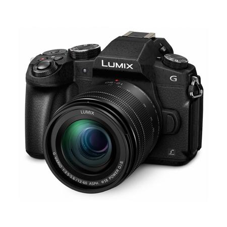 lumix dx