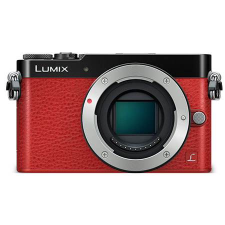 Panasonic Lumix DMC-GM5 Mirrorless Digital Camera with 12-32mm Kit