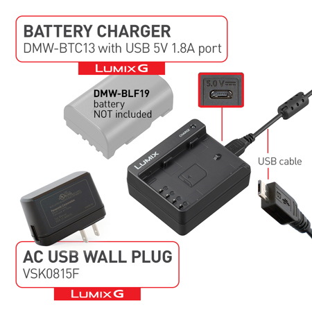 Panasonic DMW-BTC13 Battery Charger for LUMIX Battery Pack DMW-BLF19