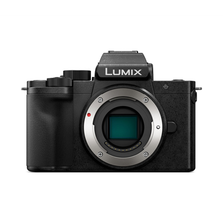 Panasonic LUMIX DC-G100D Mirrorless Camera w/G Vario 12-32mm Lens