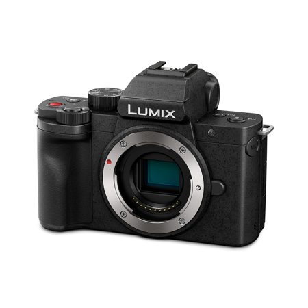 Panasonic LUMIX DC-G100D Mirrorless Camera w/G Vario 12-32mm Lens