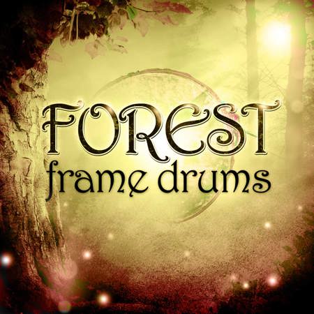 Forest Frame Drums - Virtual Instrument, Download