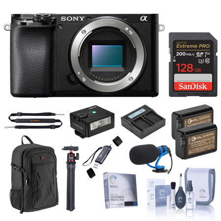 Sony Alpha a6100 Mirrorless Camera, Bundle with Accessories Kit