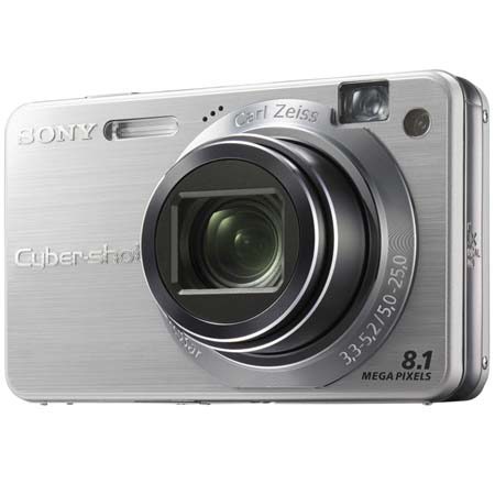 Sony Cyber-shot DSC-W130 8.1MP Digital Camera with 4x Optical Zoom with Super Steady Shot (Silver)