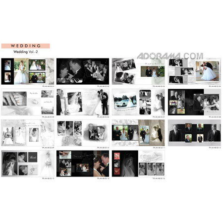 Dg Foto Art Galleria Wedding Vol.-2 Plug-in Software