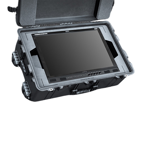 Jason Cases Wheeled Hard Case with Foam Insert for Flanders Scientific DM241 24" Monitor, Black