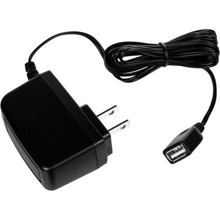 JVC AC-V17l AC/USB Charger for Adixxion Camera