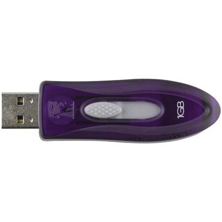 Kingston Technology Data Traveler 110, 1 GB High Speed Flash Drive with USB 2.0 Interface, Purple