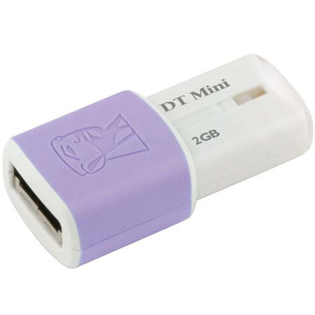 Kingston Technology DataTraveler Mini, 2 GB Migo Edition Colorful Mini-sized USB 2.0 Flash Drive