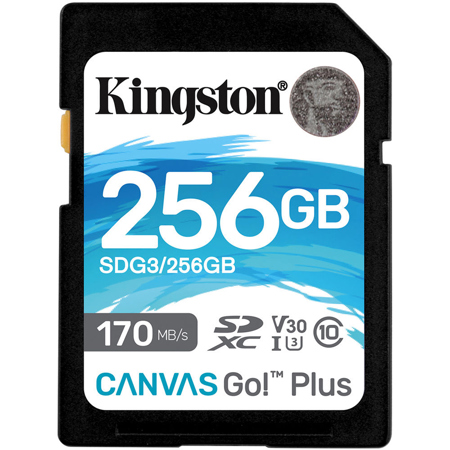 Kingston Technology Canvas Go! Plus 256GB SDXC UHS-I Class 10 Memory Card