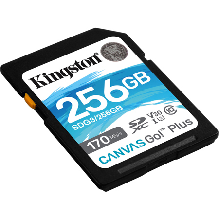Kingston Technology Canvas Go! Plus 256GB SDXC UHS-I Class 10 Memory Card