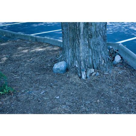 KJB Security Products SC7000HD Xtreme Life HD Landscape Stone Hidden Camera &DVR