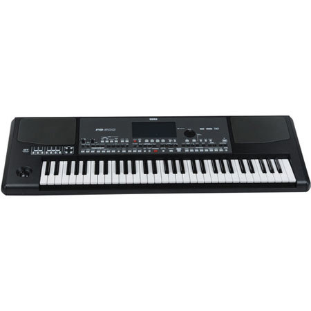 Korg Professional 61-Key Arranger Keyboard with Quarter Tone Buttons