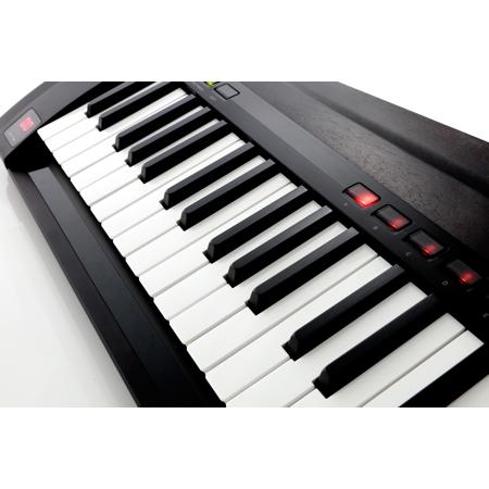 Korg RK-100S 37-Keys Keytar Controller Keyboard, Modeling