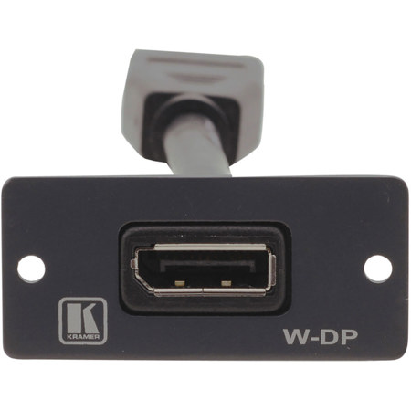 Kramer Electronics W-DP DisplayPort Wall Plate Insert, Single Slot, White