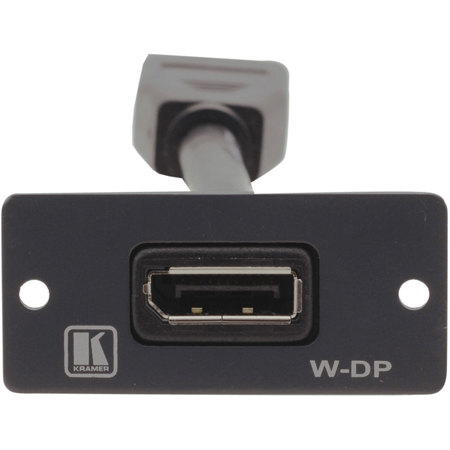 Kramer Electronics W-DP DisplayPort Wall Plate Insert, Single Slot, White