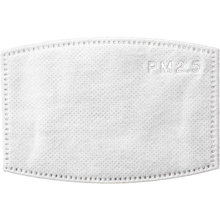 LANDOU PM2.5 Face Mask Filters (10-Pack, Adults)