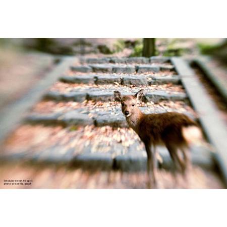 Lensbaby Composer Pro II with Sweet 50 Optic for Samsung NX - Open Box Item