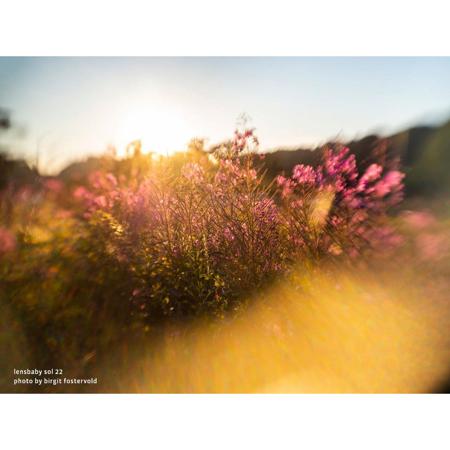 Lensbaby Sol 22, 22mm f/3.5 Lens for Micro 4/3