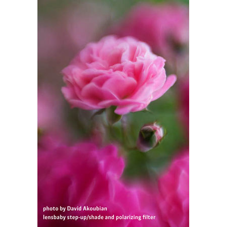 Lensbaby Step-up Shade - 37mm to 52mm Step-Up Ring/Lens Shade Combo BabyLens kit PL⁄EF Mount - Utopia