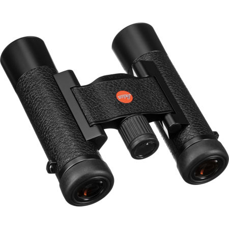 Leica 10x25 Ultravid Blackline Roof Prism Binocular, 5.2 Degree Angle of View
