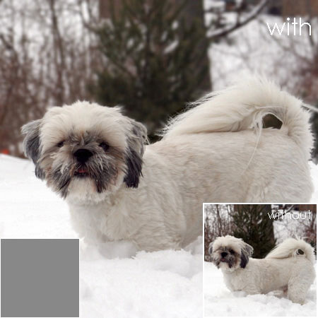 Leica 13026 Series 5.5 Neutral Density Filter