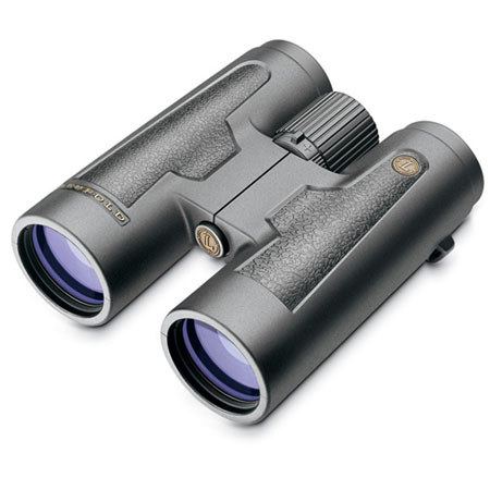 Leupold 10x50 BX-2 Acadia Binoculr, Black