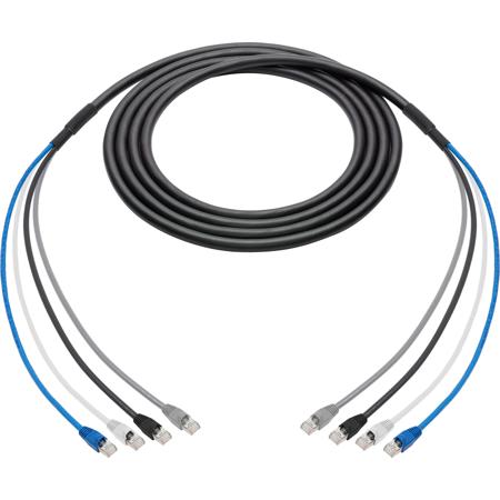 Laird 4C6SNK-100 100' 4-Channel Belden Cat6 Ethernet Cable with RJ45 Connectors & 24" Fanouts