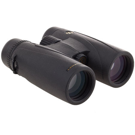 Leupold 8x42 BX-4 McKinley HD Binocular, Black #117789