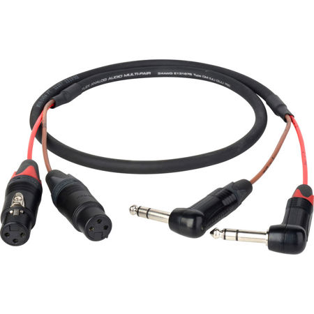 Laird 2' 2-Channel 1/4" TRS Right-Angle Plug to 3-Pin XLR Female Adapter Cable