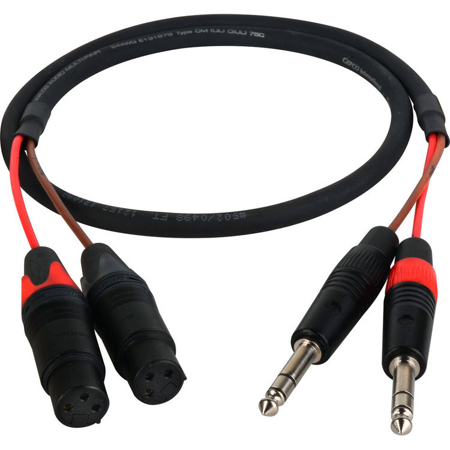 Laird 3' 2-CH 1/4" Standard TRS Plug to 3-Pin XLR Female Audio Adapter Cable
