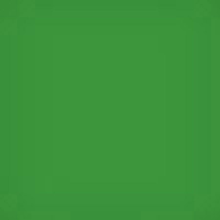 Lee Filters 4x4" Yellow Green #11 Polyester Filter for Black & White Film