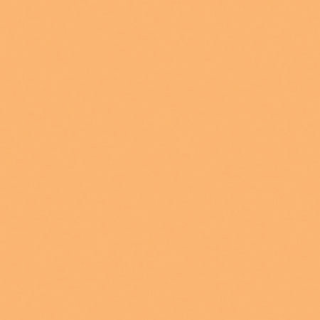 Lee 204 Full Orange (CTO), 20 x 24in Color Filter