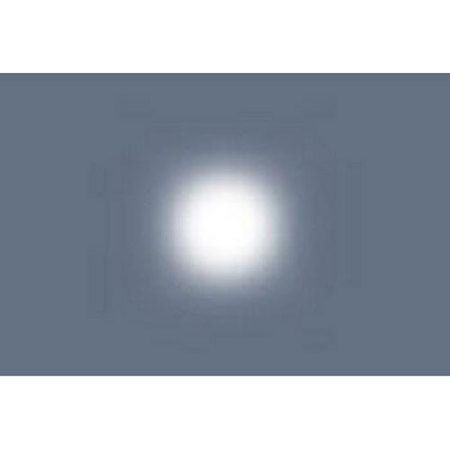 Lee Filters 1/4 White Diffusion 48"x25' Gel Filter Roll, 1" Core