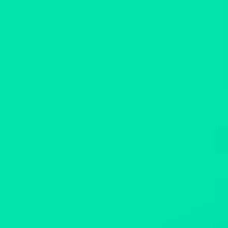 Lee Filters Lee Jade 48" x 25' Roll Gel Filter