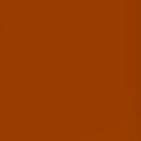 Lee Filters Lee Bacon Brown 24x21" Gel Filter Sheet