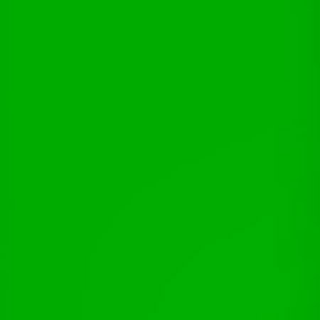 Lee Filters Twickenham Green 24x21" Gel Filter Sheet