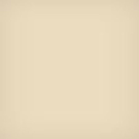 Lee Filters 4x4" 81C Color Conversion Polyester Filter