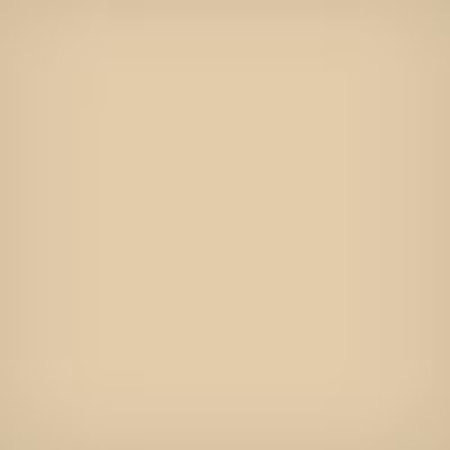 Lee Filters 4x4" 81D Color Conversion Polyester Filter