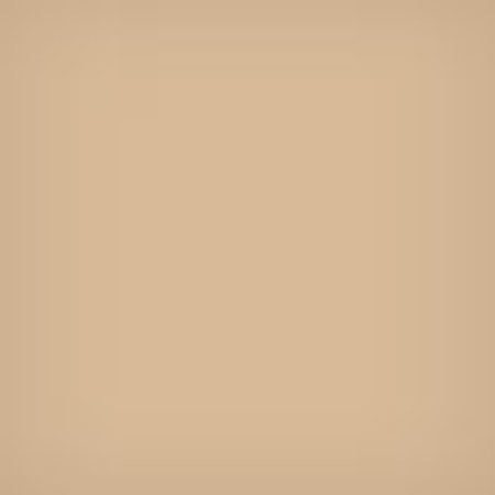 Lee Filters 4x4" 81EF Color Conversion Polyester Filter