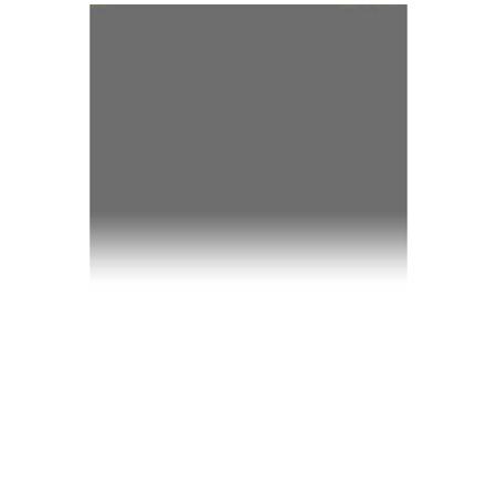 Lee Filters 4x6" Combination Graduated 85 to ND 0.6 Resin Filter, Soft Edge