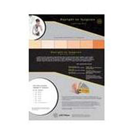 Lee Filters Lee DTP Filters Daylight to Tungsten, 12x12in Filters