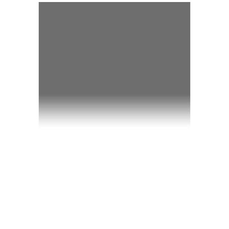 Lee Filters Neutral Density .6 Graduated Soft Filter 100 x 150mm Resin