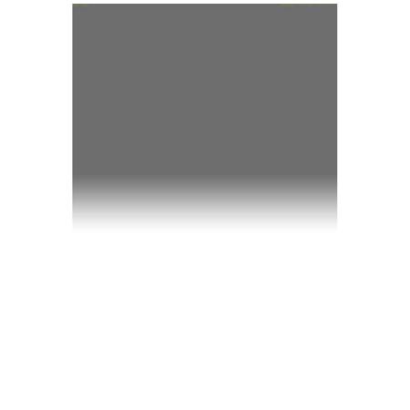 Lee Filters Lee 0.6 Graduated Neutral Density Filter, Soft Edge