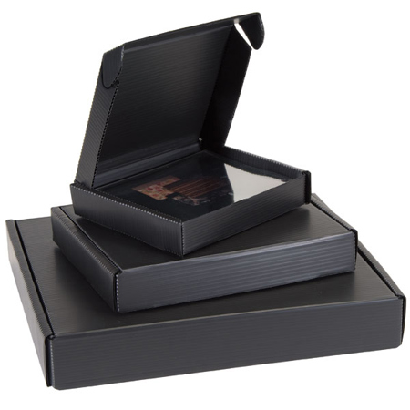 Lineco Polypropylene Clamshell Storage Box for 9x12" Photos, 1.5" Inner Depth