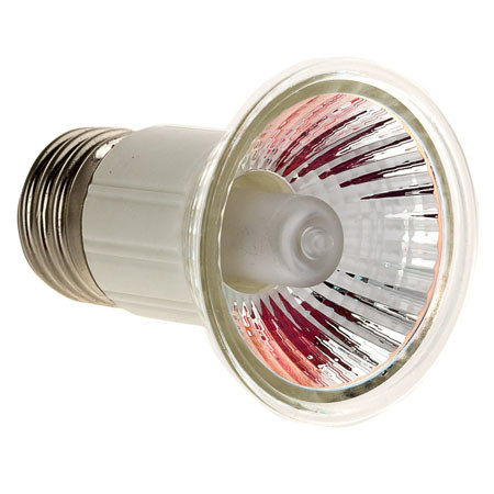 Lowel L1100F 100 Watt, 120 Volt Flood Lamp