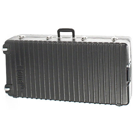 Lowel LSF82 Big Scandles Case