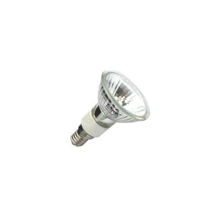 JDR Studio Lamp 100w 120v